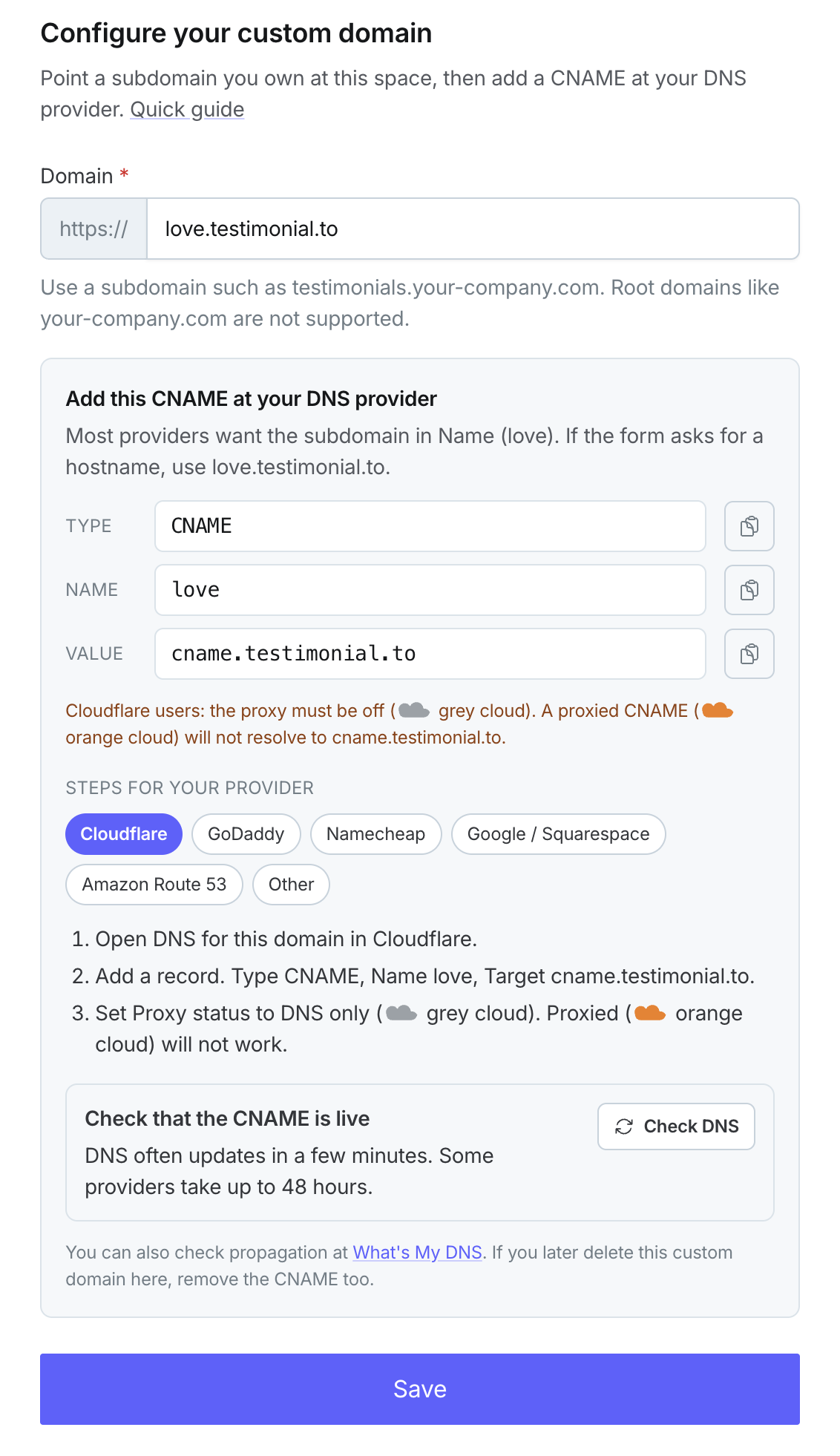 A software settings interface detailing custom domain configuration with CNAME record values, DNS provider steps, and a save button.