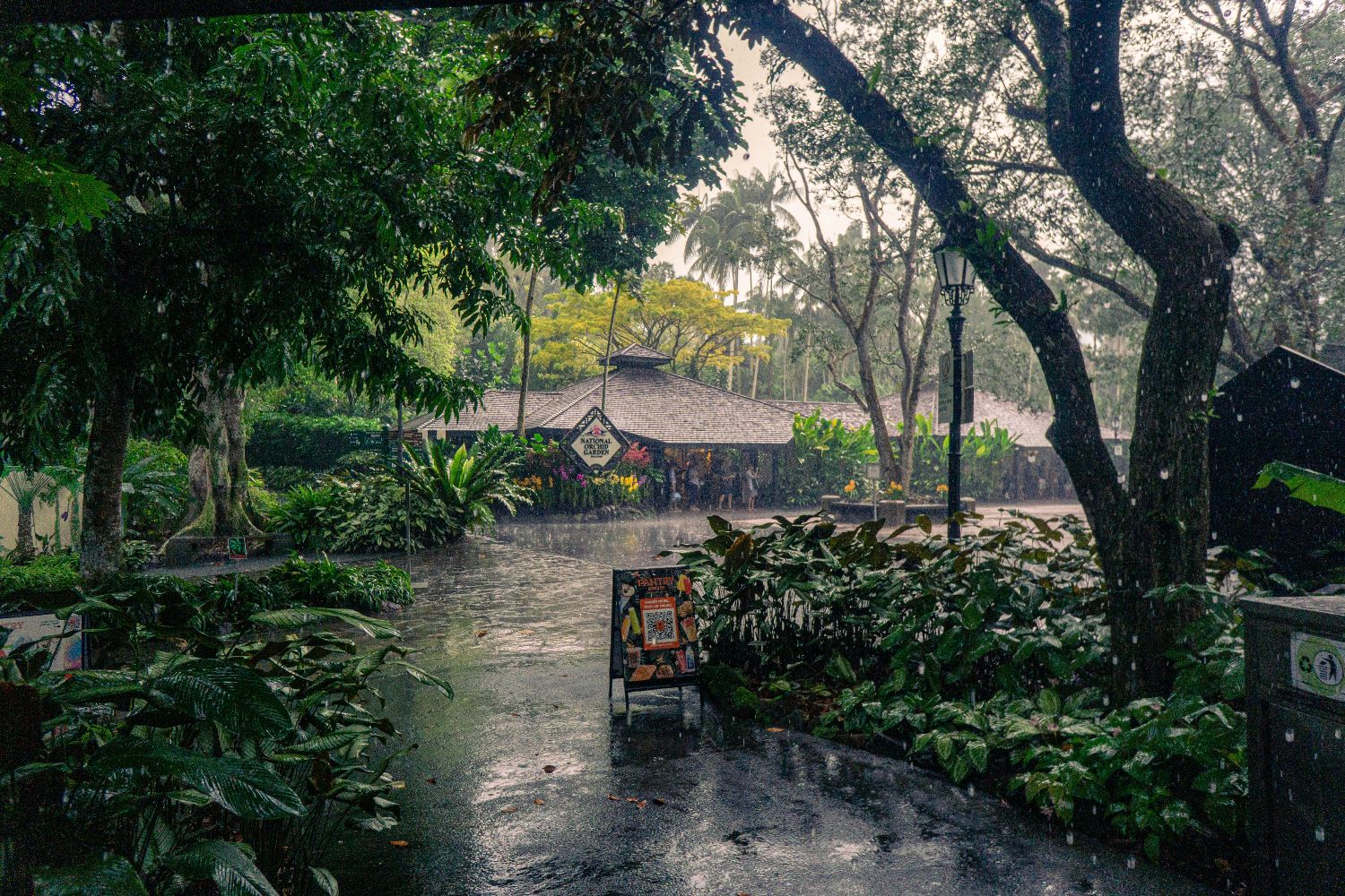 A paved pathway cutting through a lush, tropical garden during a heavy downpour of rain.